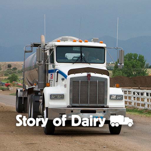 Story of Dairy - Dairy Transport Truck