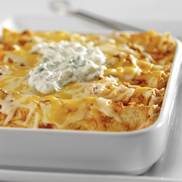Easy Cheesy Chicken Enchiladas with Yogurt Sauce